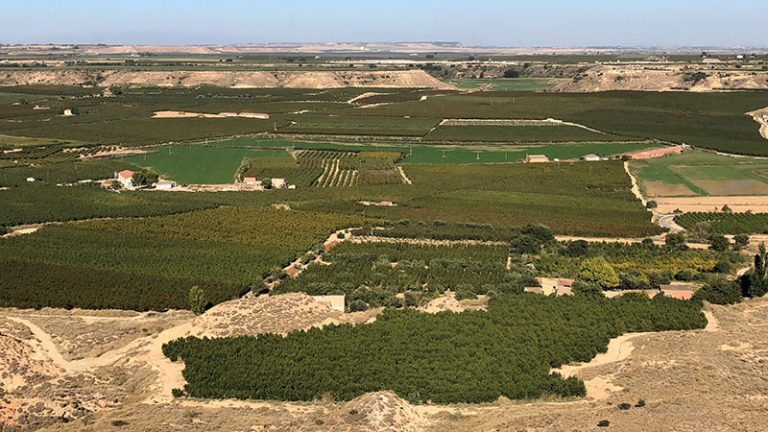 Gesti N De Fincas Agr Colas Silos Del Cinca Servicios Agr Cola