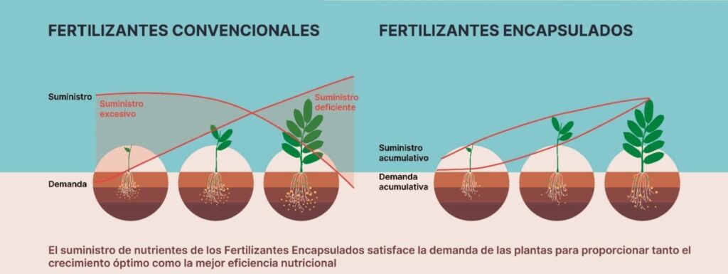 Infografía fertilizantes convencionales vs encapsulados