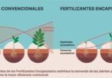 Infografía fertilizantes convencionales vs encapsulados